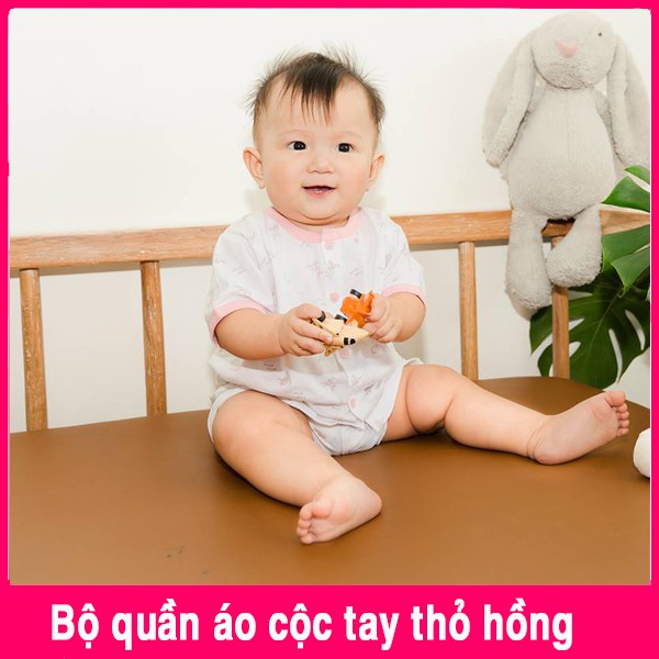 [MIO CỘC] Bộ Quần Áo Sơ Sinh Ngắn Tay Mio Mio Cài Giữa / Cotton Mỏng / Mát - MioMio Việt Nam