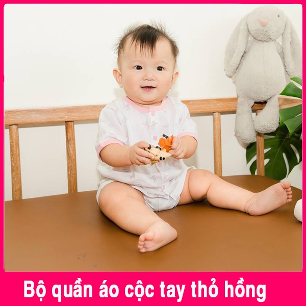 [MIO HÈ] Bộ Quần Áo Cộc Tay Miomio Cài Giữa Cho Bé Gái - Mio Việt Nam