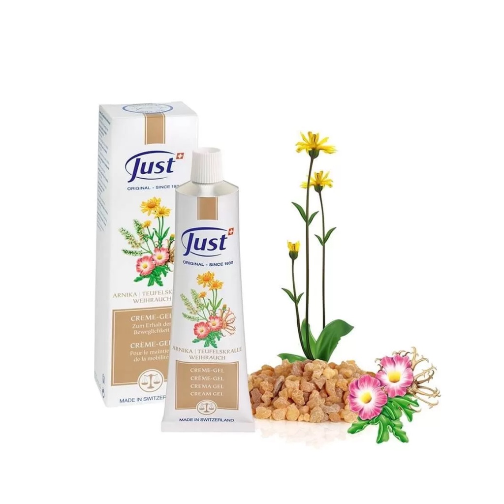 Original [Swiss JUST] Arnica Devil 's Claw Frankincense Cream Gel 100 ml (Sản xuất tại Thụy Sĩ)