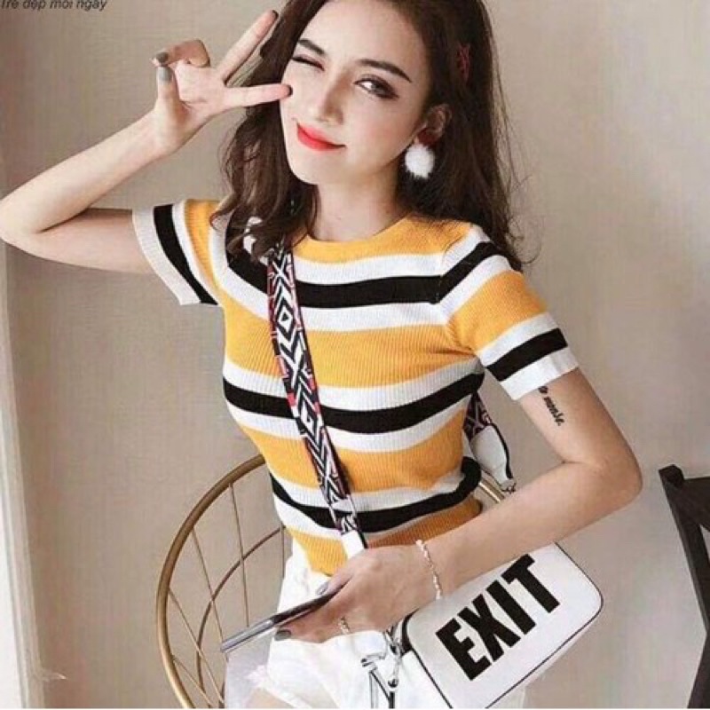Áo Len Mongtoghi Chọn Live