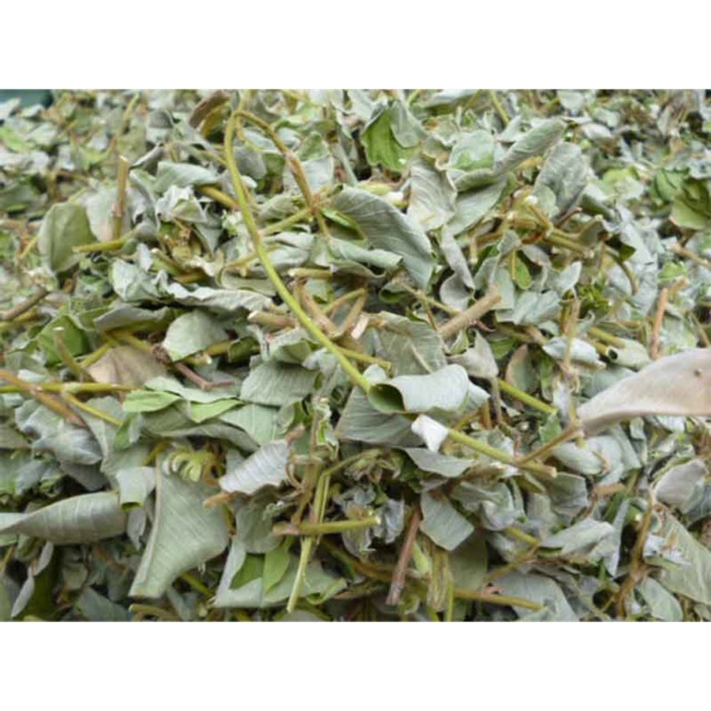 Kim tiền thảo hỗ trợ điều trị sỏi thận, sỏi mật 1kg