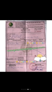 Trà bồ công anh
