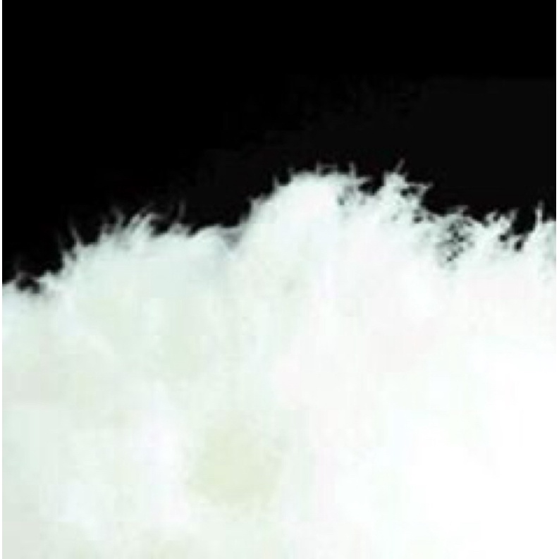 Áo phao nam mặc 2 mặt