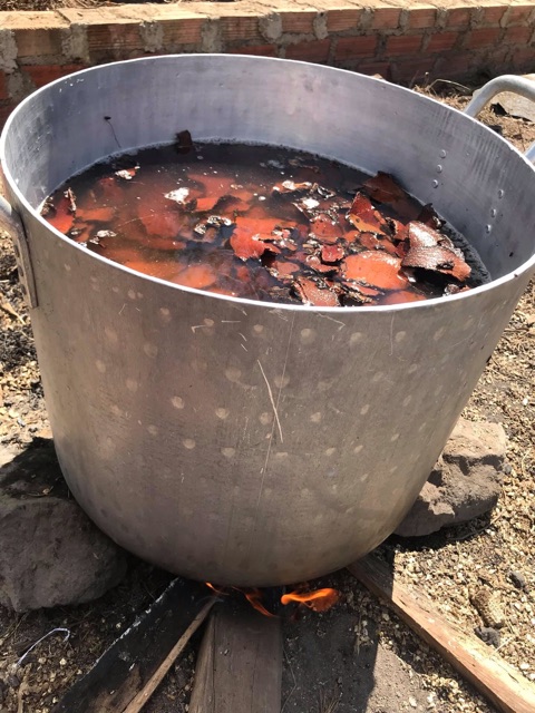 Viên hà thủ ô đỏ mật ong rừng | BigBuy360 - bigbuy360.vn