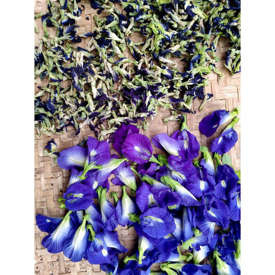 Hoa đậu biếc khô