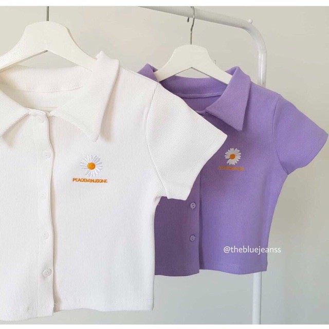 Áo Thun Polo Nữ🌸FREESHIP🌸 Áo Phông Polo  Cực Đẹp  hoa cúc  freesize dưới 58 kg < chất vải cotton > siêu mát | BigBuy360 - bigbuy360.vn