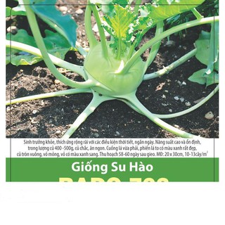Hạt Giống Su Hào Giòn Ngọt, Dễ Trồng 0.5gr