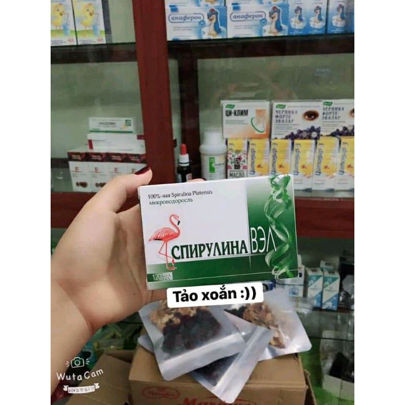 (Annhthu) Tảo xoắn Nga