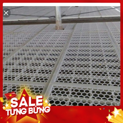 Sàn nhựa sàn nuôi vịt ngan
