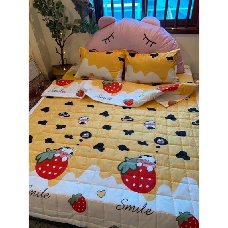 Bộ Chăn Ga Gối 5 Món Vải Coton Poly Hàn Quốc Đủ Cỡ 1m6/1m8