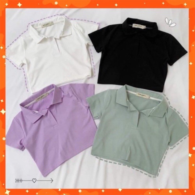 Áo polo croptop, áo cổ trụ trơn