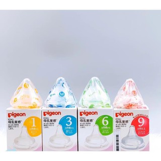 Núm ti bình pigeon nội địa Nhật