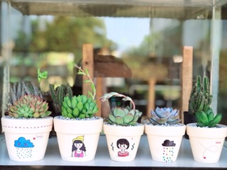 Chậu nung trắng vẽ size 7cm