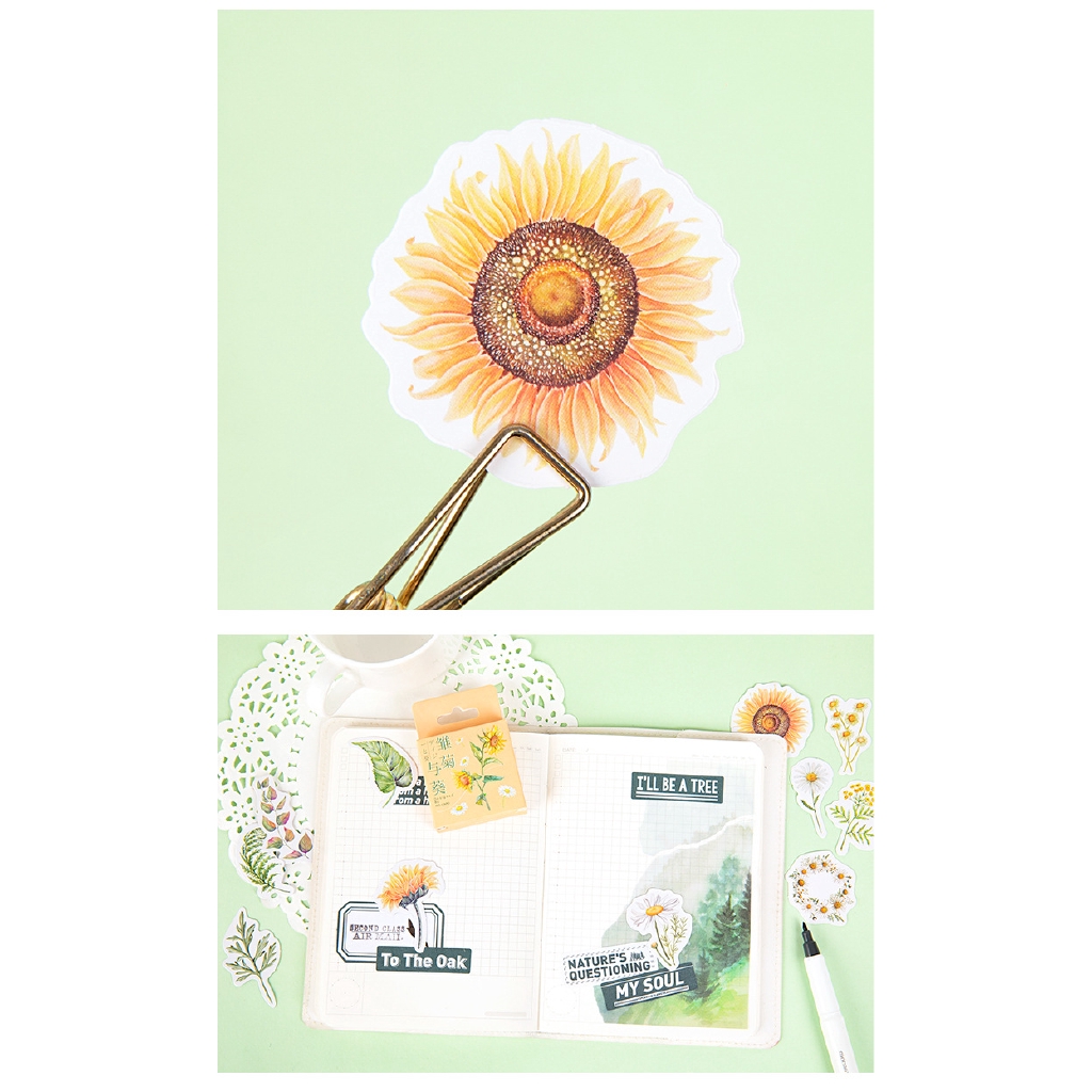 Hộp 46 Miếng Dán Trang Trí Hoa Cúc Và Hướng Dương