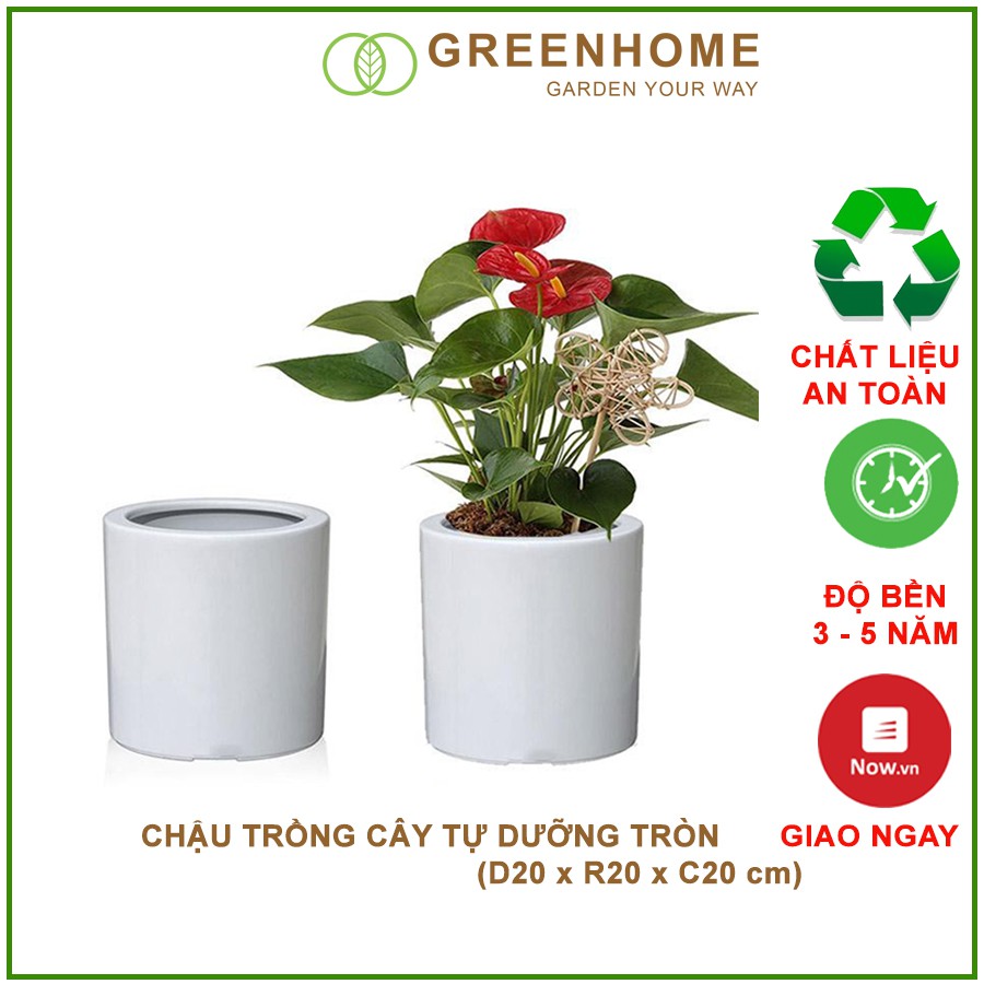 Chậu trồng cây tự tưới, R20xC20cm, trụ tròn, sơn trắng, siêu nhẹ, thẩm mỹ, độ bền cao |Greenhome