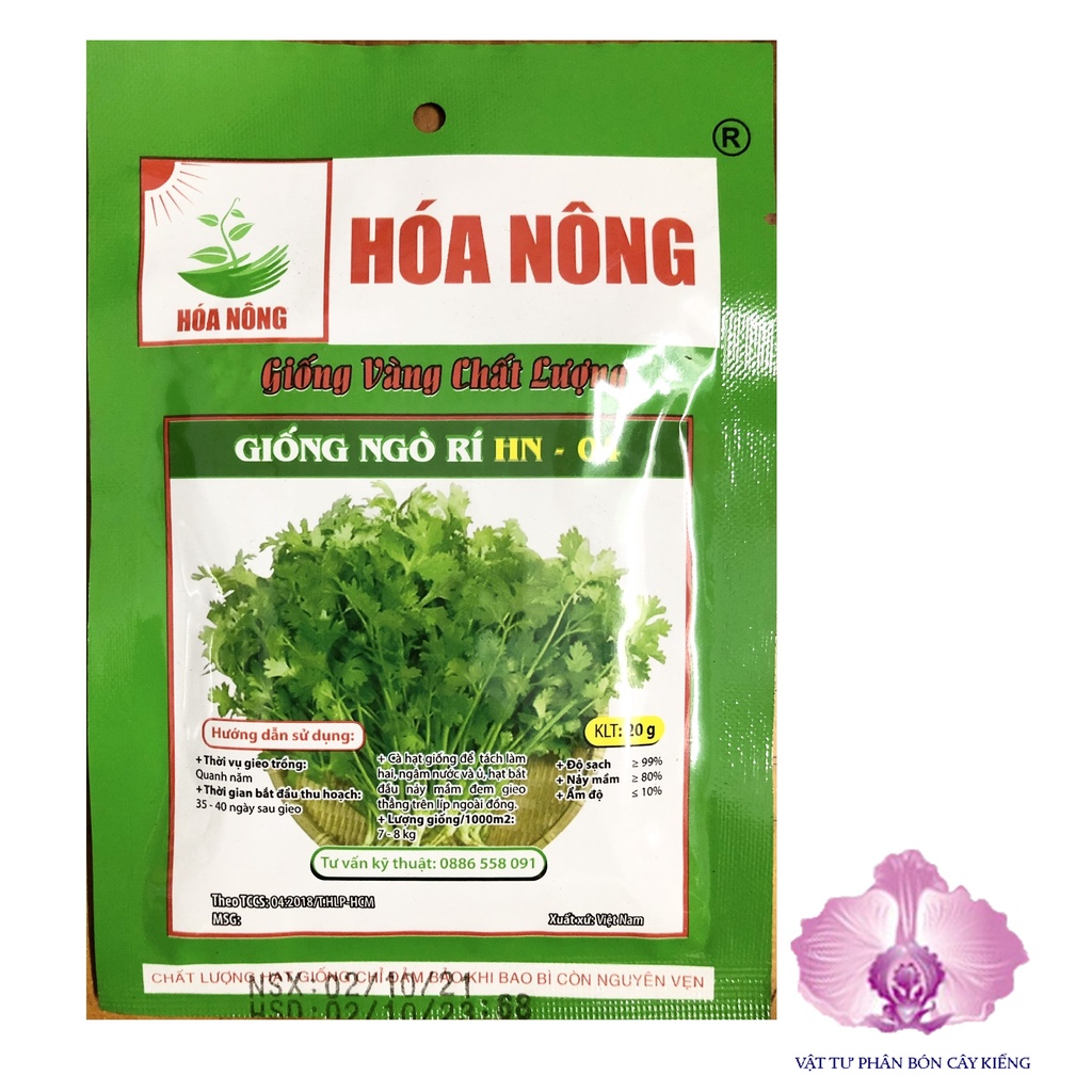 Hạt Giống Ngò Rí dân gian HN-04 - #930#