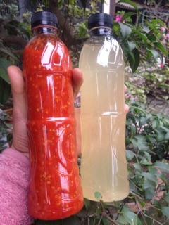 Tương ớt handmade % tỏi ớt