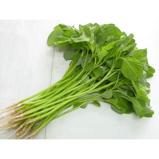 Hạt giống rau dền xanh lá tròn