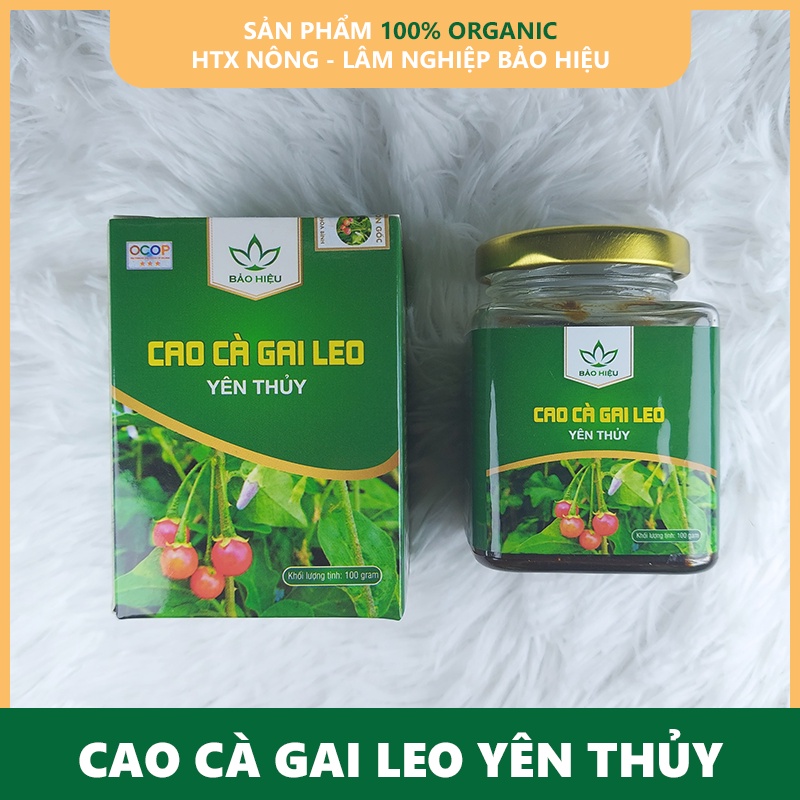 Cao Cà gai leo Yên Thủy 100g [Chính hãng]