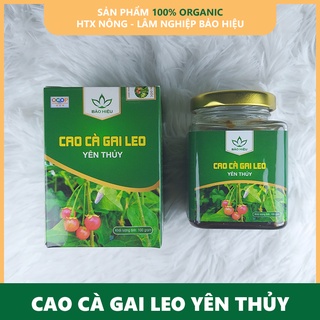 Cao Cà gai leo Yên Thủy 100g [Chính hãng]