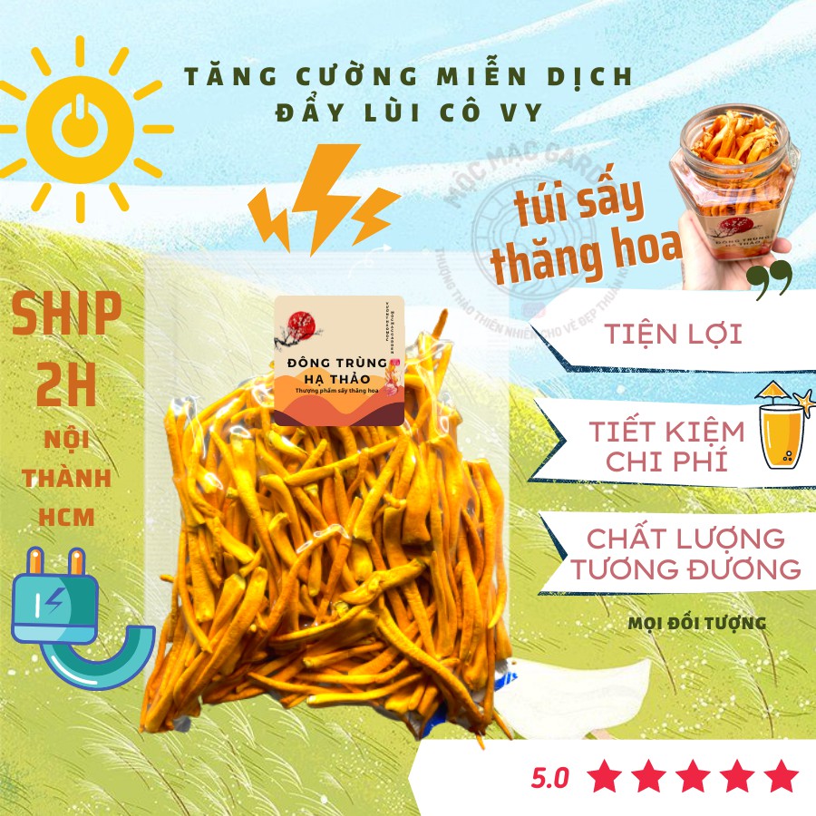 Đông trùng hạ thảo sấy khô gói 100gr