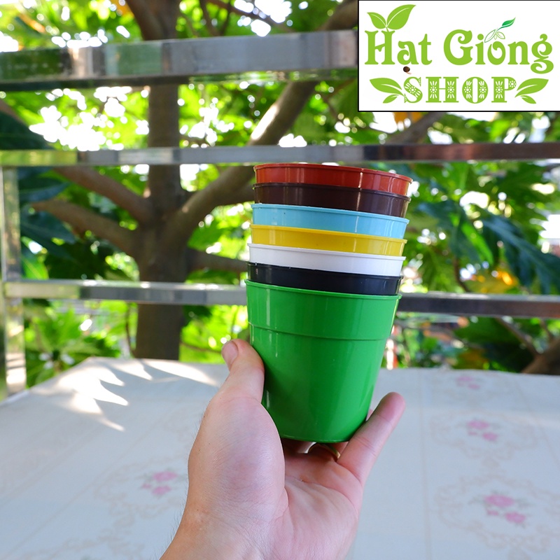 Chậu cây mini đang yêu - 9x8
