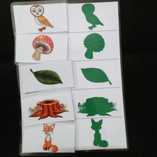 Học liệu cho bé: tìm bóng của vật