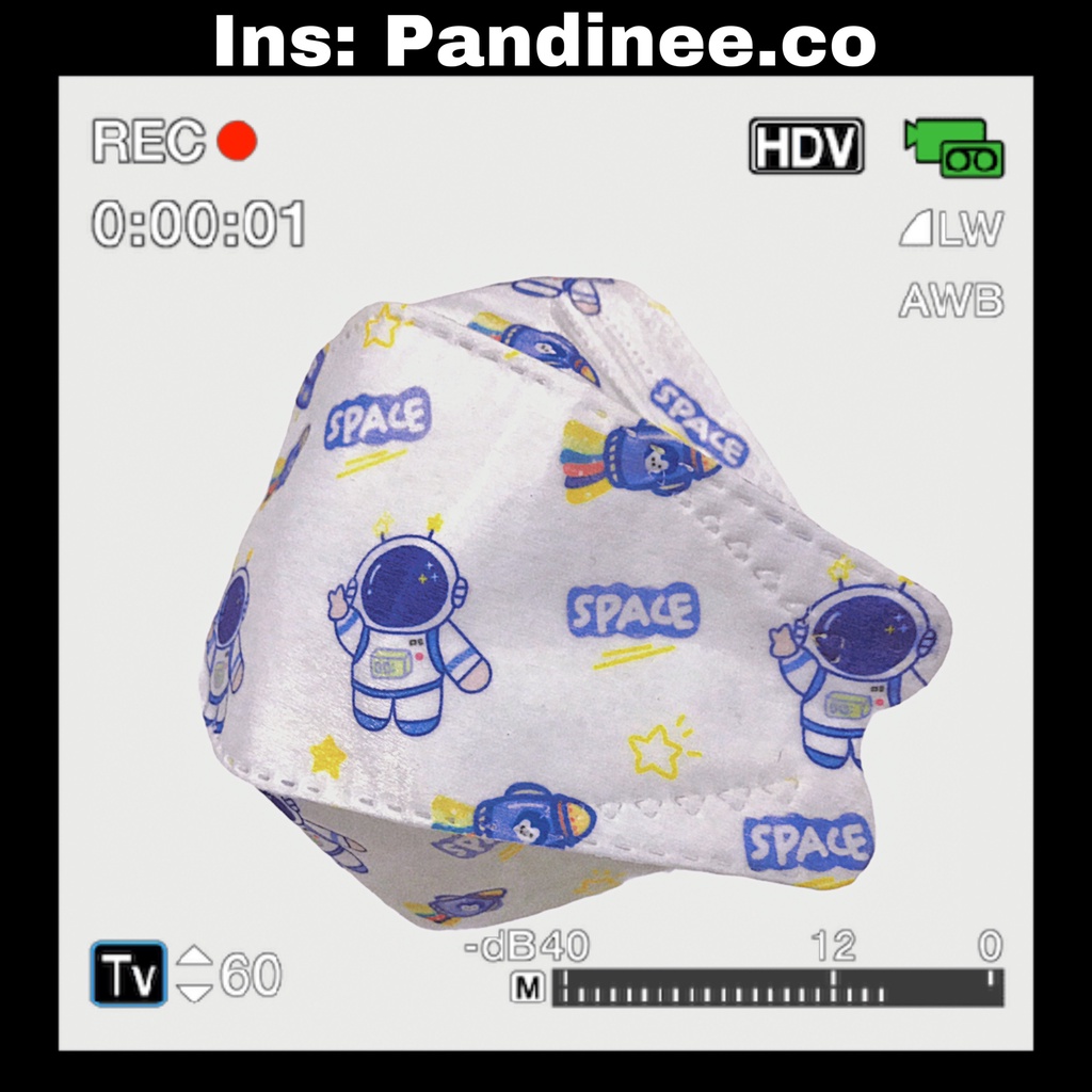 Khẩu trang KF94 cao cấp xuất Hàn in hoạ tiết hoạt hình gấu cute Pandinee KT02