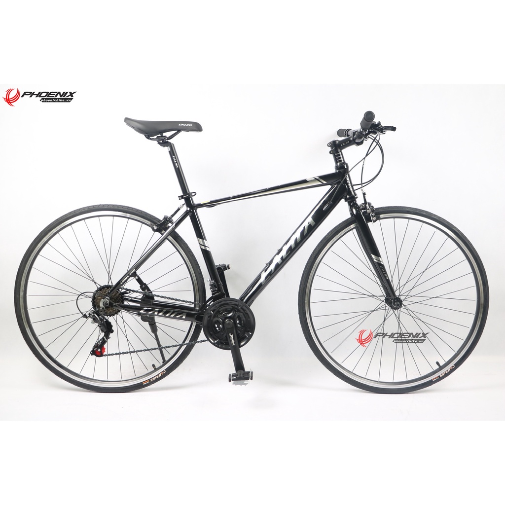 Xe đạp đường trường 700C Califa Louis 200