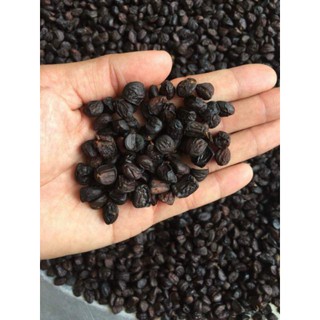 Hạt dổi nếp - 10 hạt