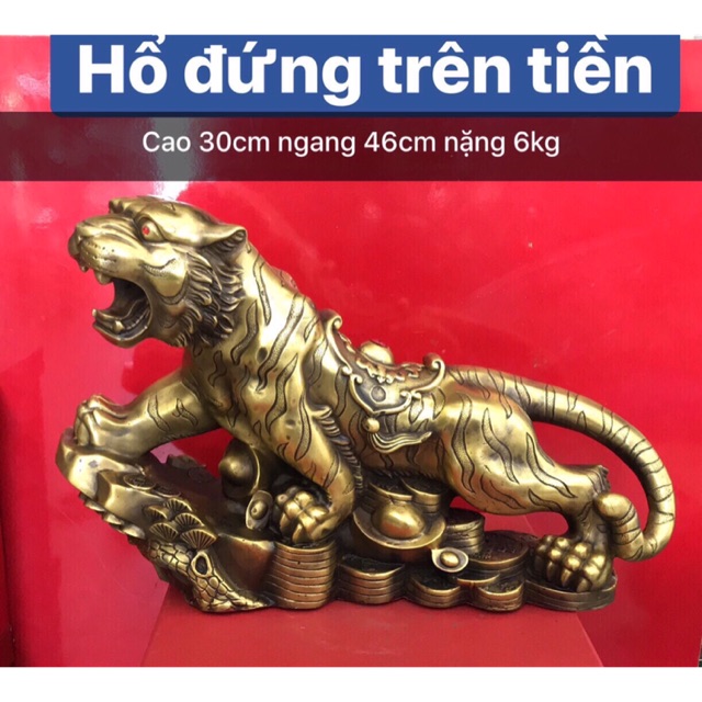 Hổ đứng trên tiền cao 30cm