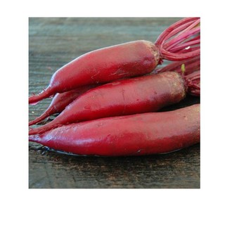 Bán sỉ Hạt giống củ dền đỏ dài 039F1 gói 2 gram xuất xứ Ấn Độ hàng nhập khẩu, hàng chính hãng.