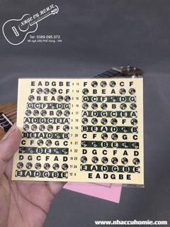 DECAN DÁN NỐT ĐÀN GUITAR