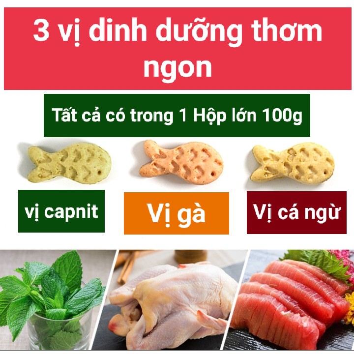 [Hộp 100g] Bánh quy cho mèo - snack cho mèo - Đồ ăn nhẹ có chứa capnit cao cấp cho mèo -  Sạch răng bổ mắt dưỡng lông