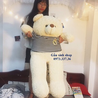 Thú nhồi bông Gấu Teddy màu trắng sữa - KV 1M4 cao 1M2 (Ảnh thật)