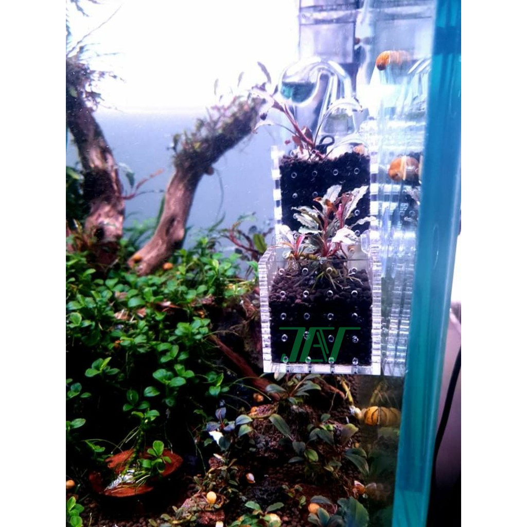 Cốc Trồng Cây Thủy Sinh Mica JetA, An Toàn, Thẩm Mỹ