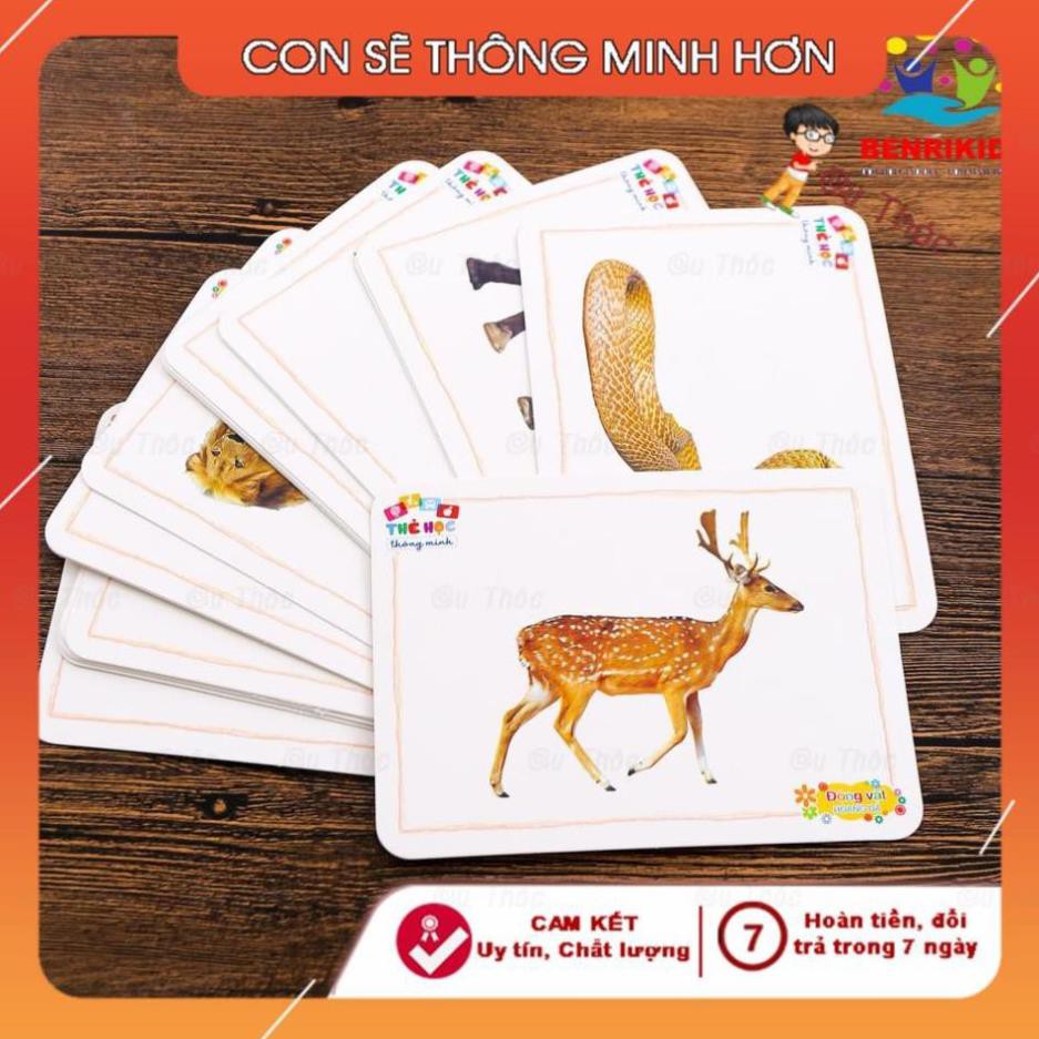 (TKNK) Thẻ học thông minh song ngữ 16 chủ đề💚FREESHIP💚Flashcard Anh Việt chủ đề động vật dưới nước(cherri)