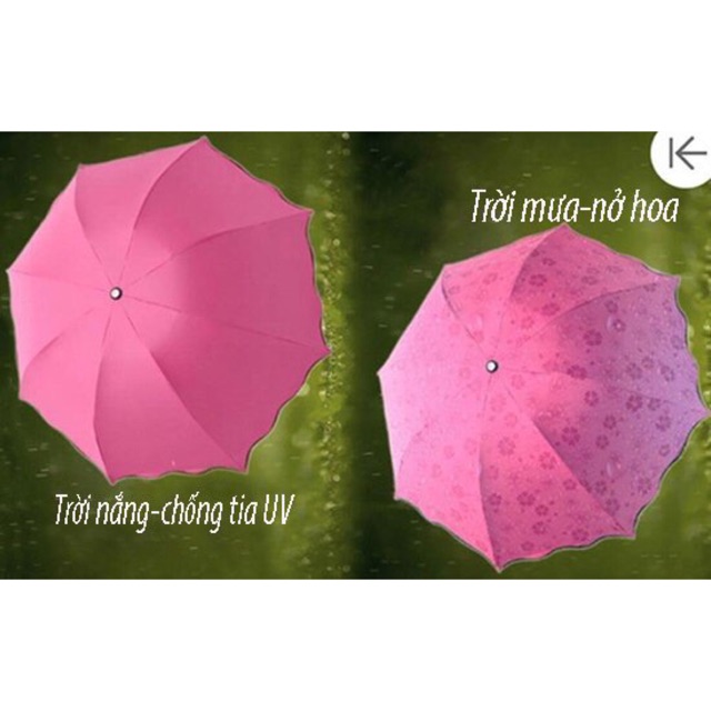ô ma thuật biến đổi khi gặp nước