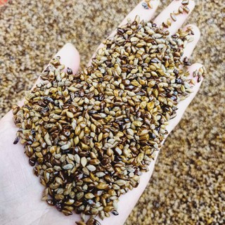 1kg hạt đậu muồng nhà làm