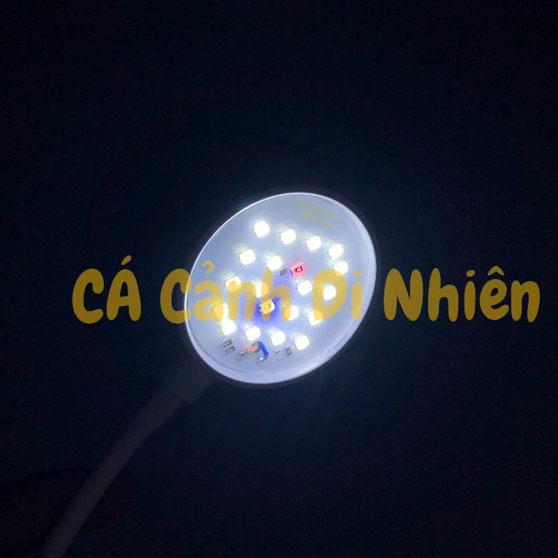 Đèn led kẹp hồ cá bể tròn mini màu trắng Clip Lamp JY-25 cho hồ 25 cm