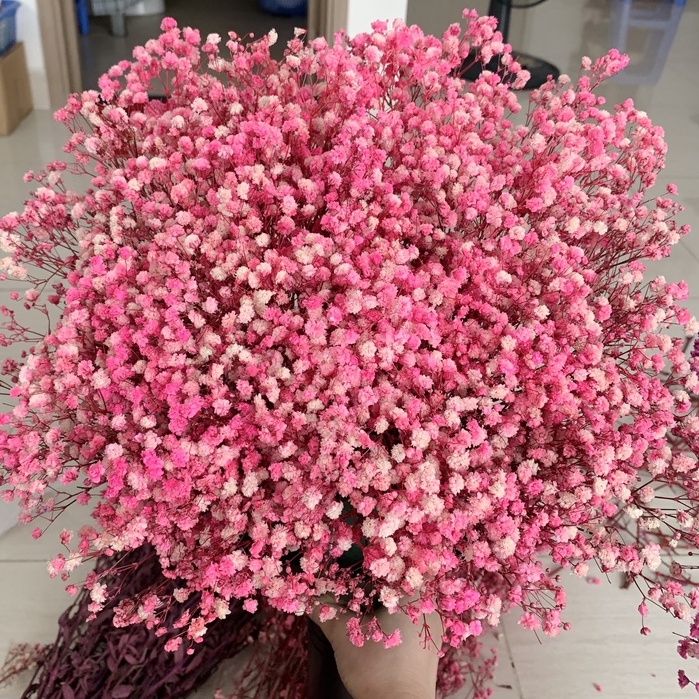 [SIÊU TIẾT KIỆM] Bó hoa baby khô 450-500gr siêu to trang trí decor nội thất tiết kiệm