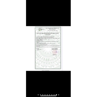 Hoa anh thảo Úc Blackmore
