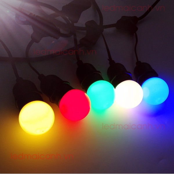 Dây đui 10m 20 đui ngoài trời, dây đui 5m 10 đui  .