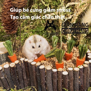  Cà rốt mài răng hamster thỏ thú cưng chính hãng JONSANTY trang trí chuồng hamster dễ thương vừa để bé gặm mài răng 