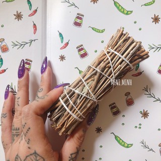 Xô Hoàng Gia (Royal sage 4”)