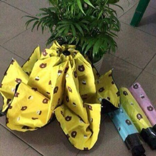 Ô 3D HÌNH GẤU BROW