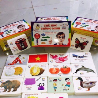 Bộ Thẻ Học Thông Minh cho bé 16/18 Chủ Đề thẻ học Glenn Doman loại to song ngữ Flashcard tiếng Anh (Hibaby+)