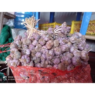 1kg tỏi Bắc thơm ngon