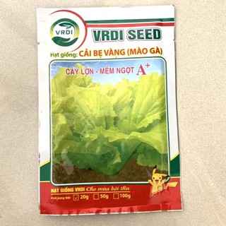 Hạt giống cải bẹ vàng vrdi seed 20gr