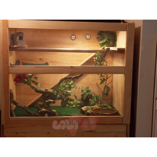 Chuồng nuôi rồng nam mỹ iguana